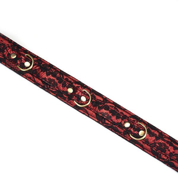 Нашийник з повідцем Liebe Seele Victorian Garden Collar with Leash SO9472 фото